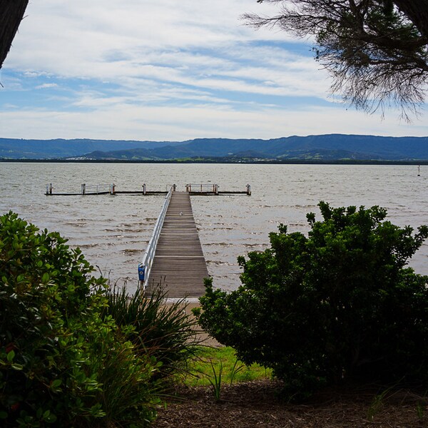 Lake Illawarra Jetty: Tree-Framed Scenic View, Photography, Wall Art, Digital Download