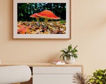 Stampa fotografica di funghi delle fiabe - Decorazione murale stravagante per camerette e asili nido