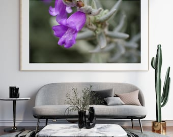 Lámina artística fotográfica de flores moradas, decoración botánica para el hogar