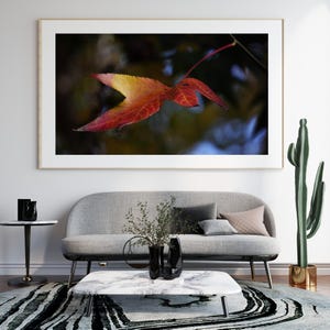 Impression d'art mural photographie feuille d'automne | Décoration d'automne, Tableau représentant la nature, Décoration d'intérieur, Oeuvre d'art saisonnière