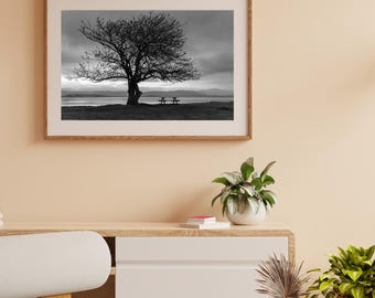 Black and White Glow Tree Photography Print, Modern Landscape Art