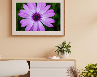 Fotografía impresa de flor morada / Arte floral para pared