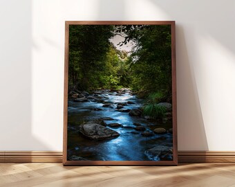 Oak Creek Canyon - Sedona Arizona, Premium Printable Download, High Resolution, Fine Art Print, Free Bonus Download for added sizes