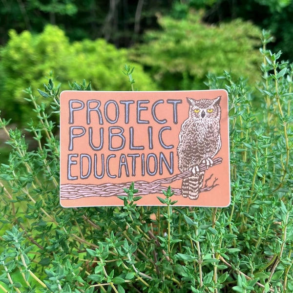 Protect Public Education Sticker | vinyl owl block print decal