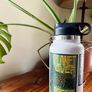 May include: A light gray water bottle with a black lid. The bottle has a sticker that reads "PLANET OVER PROFIT" in green and yellow. A green plant is in the background.