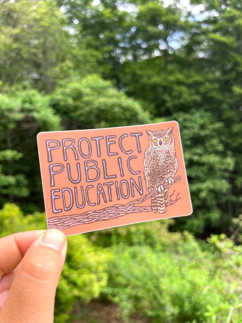 Protect Public Education Sticker | vinyl owl block print decal Bild 3