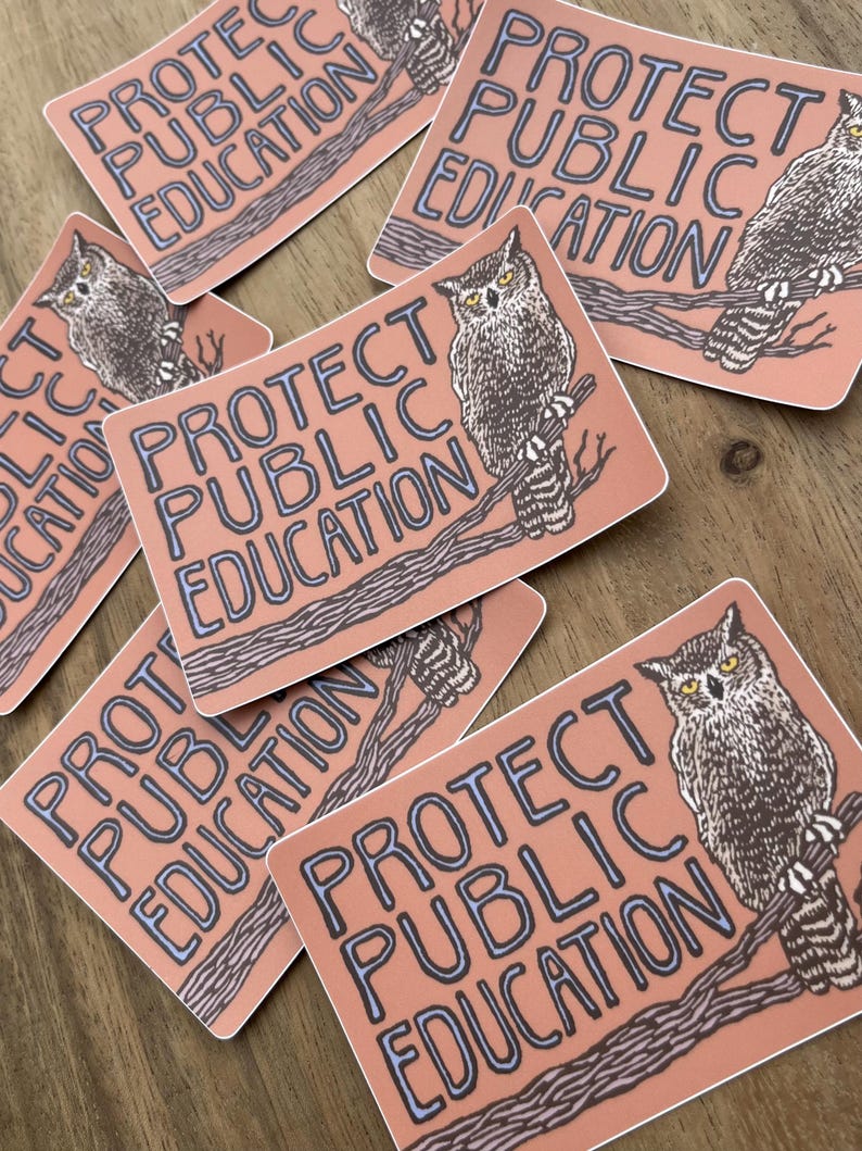 Protect Public Education Sticker | vinyl owl block print decal Bild 4