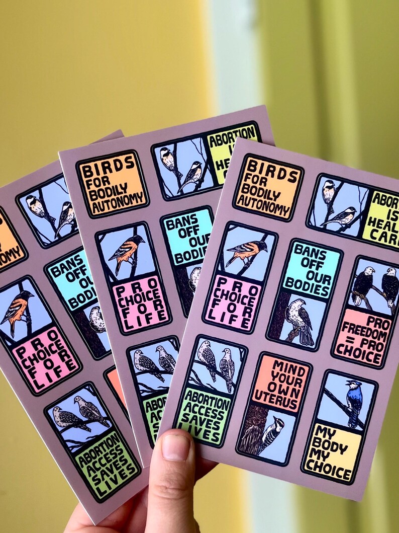 Professional Autonomy Sticker Birds for Bodily Autonomy Sticker Sheet | Reproductive Rights Vinyl ...