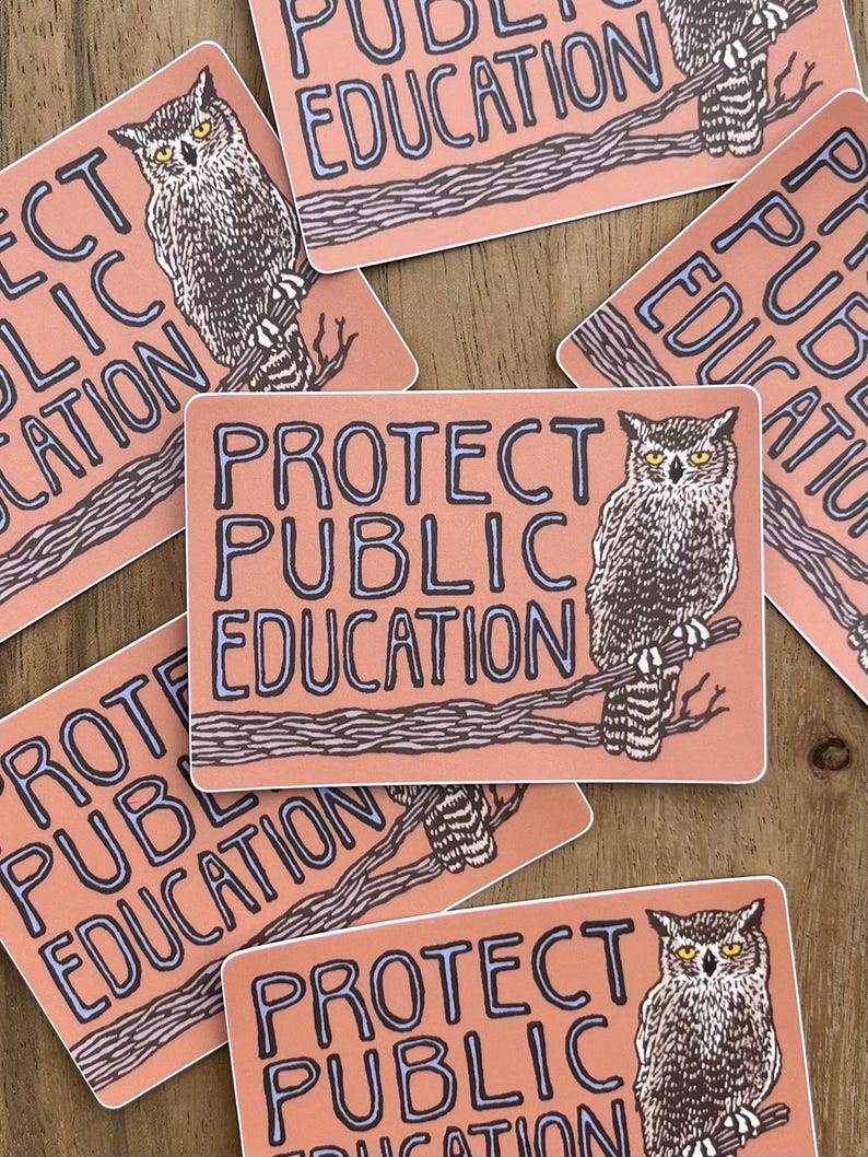 Protect Public Education Sticker | vinyl owl block print decal Bild 2
