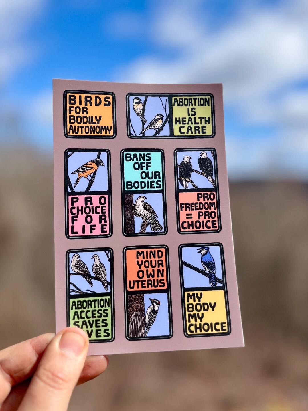 Professional Autonomy Sticker Birds for Bodily Autonomy Sticker Sheet | Reproductive Rights Vinyl ...