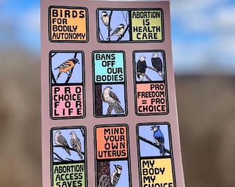 Hoja de pegatinas de Birds For Bodily Autonomy / calcomanía de vinilo con impresión en bloque sobre derechos reproductivos