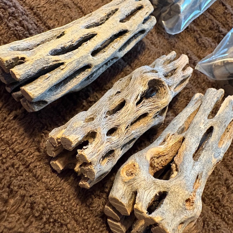 Cholla Wood - Etsy