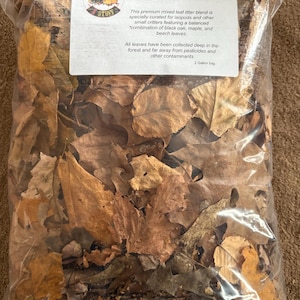 Oak and Beech Leaf Litter