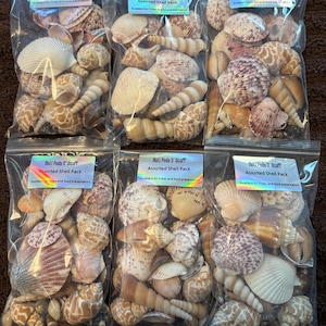 May include: Six clear plastic bags filled with assorted seashells. The shells vary in size, shape, and color, including white, tan, brown, and purple hues. Each bag has a label that reads "Roli Pods N' Stuff Assorted Shell Pack."