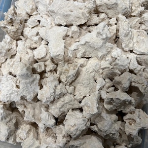 May include: A close-up of a container filled with white, irregularly shaped pieces of coral. The coral is dry and appears to be broken into small fragments.