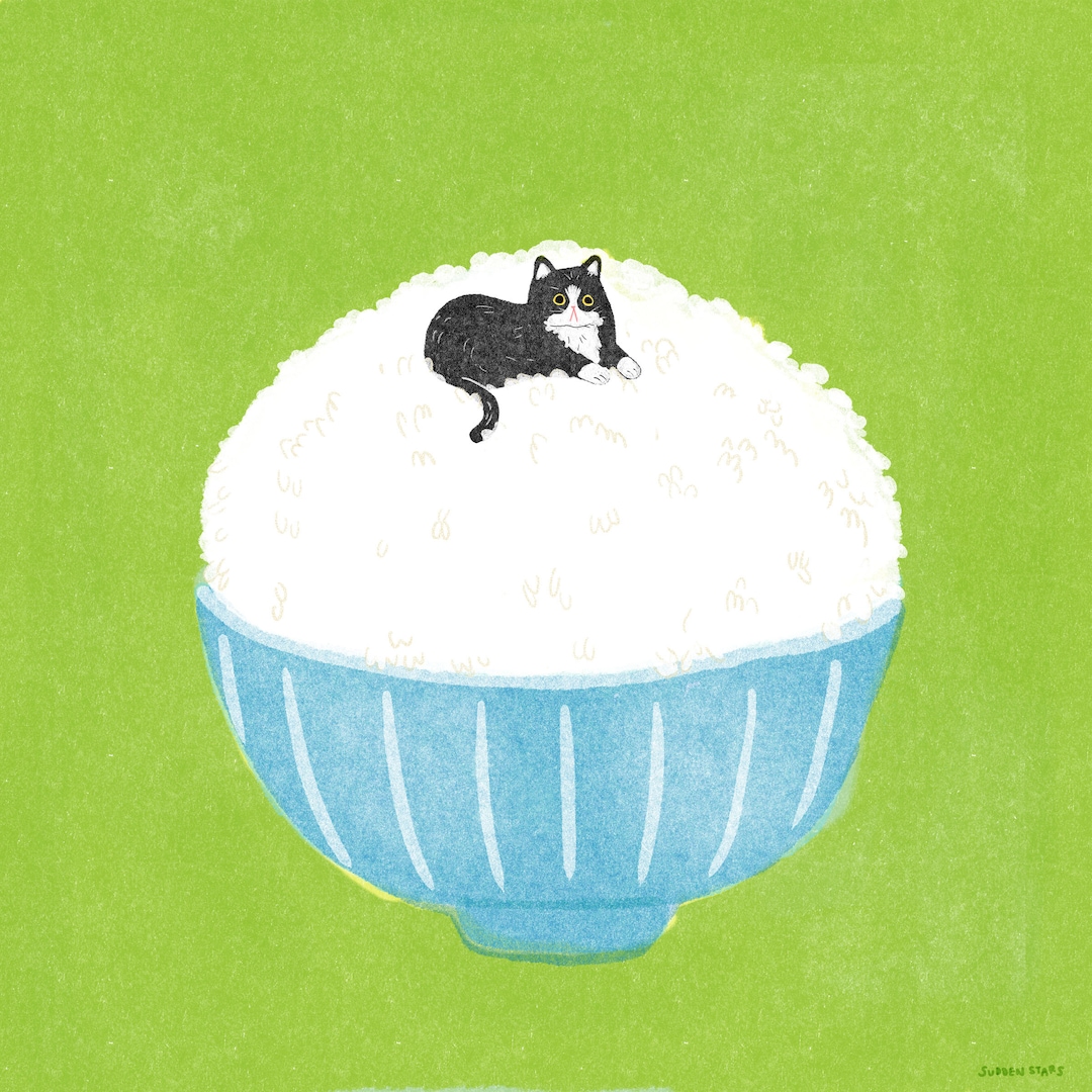 Rice Cat Art Print: Risograph Style Illustration (digital Download) - Etsy