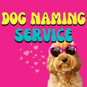One Pet Name Recommendation! Answer 4 Simple Questions and Pet Naming Expert, Cupcake the Dog, will Tell You the Perfect Name for Your Pet!