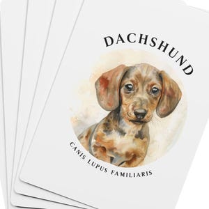 May include: A stack of white playing cards. Each card has a watercolour illustration of a Dachshund dog. The dog is brown and tan with large ears, set against a soft, circular background. The word "DACHSHUND" is printed above the dog, and "CANIS LUPUS FAMILIARIS" is below.