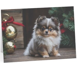 50-ct Merle Pomeranian Grußkarten 7 "x5" (50 Stück) - Begrüßen Sie die Weihnachtszeit dieses Jahr mit dieser Merle Pomeranian Weihnachtskarte!