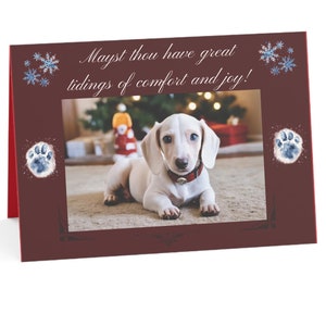 Tarjetas navideñas con Dachshund color crema, paquete de 30 unidades: noticias de consuelo y alegría; tarjetas de felicitación navideñas con Dachshund color crema, 7 x 5 pulgadas (30 unidades)