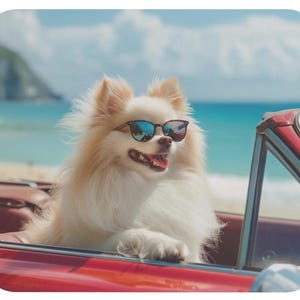 Leuke muismat (rechthoekig) met een schattige Pommerse hond met zonnebril die in een Europese top-down Pommerse auto rijdt! Coole hondenspulletjes!