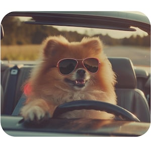Leuke muismat (rechthoekig) met een schattige Pommerse (oranje sabel)hond met zonnebril die van bovenaf in een Pommerse auto rijdt! Coole hondenspulletjes!