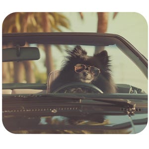 Black Pomeranian Mouse Pad, Personalized Venice Beach Dog Desk Mat, Custom Cool Pom in Convertible Mousepad, Dog Lover Office Gift, Desk Pad