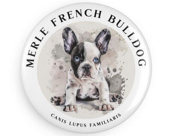 Aimant bouton bouledogue français merle, rond (1 et 10 pièces) de notre magasin de magnets pour réfrigérateur ! Incluez-le avec vos cadeaux pour chien bouledogue français dès aujourd'hui !