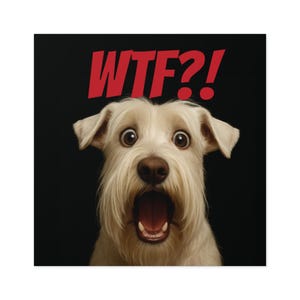 Sealyham Terrier WTF Sticker => Square Sealyham Terrier Sticker Indoor\Outdoor (4 Sizes) has a Shocked Sealyham Terrier WTF Face!