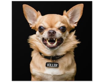 Adesivo Chihuahua arrabbiato, adesivo in vinile con faccia di cane carina e divertente, adesivo per laptop per mamme di Chihuahua, adesivo per cani per interni ed esterni, regalo per amanti dei Chihuahua