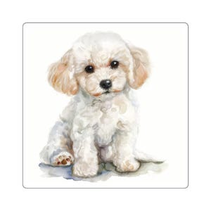 Square Sticker features a White Toy Poodle Puppy in Watercolor print. Four optional sizes: 2&quot;x2&quot;, 3&quot;x3&quot;, 4&quot;x4&quot;, & 6&quot;x6&quot;. (Indoor use only)