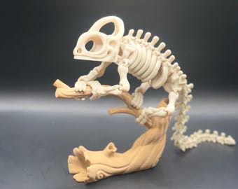 FHDARIUS2 - Caméléon Squelette Articulé Réaliste - Multicolore, Neuf
