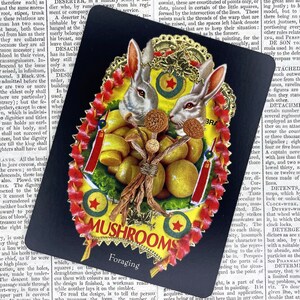postale magique de charme | Recherche de nourriture | Talisman | Art inspirant | Sort magique | Carte de méditation | Champignons | Mycologie | Carte Oracle | Champignons