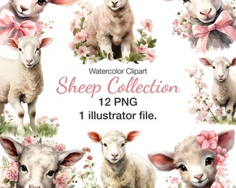 Watercolor Sheep Clipart: 12 PNG Illustrations (Commercial Use)