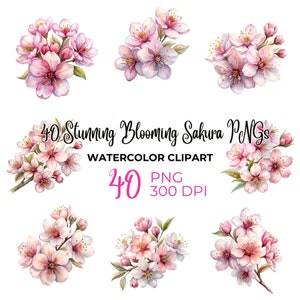 40 Stunning Blooming Sakura PNGs – High-Resolution 3000x3000px, 300 DPI for Versatile Use