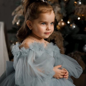 Robe de demoiselle d'honneur bleu clair, robe de demoiselle d'honneur en tulle, robe de bal pour tout-petit, robe de demoiselle d'honneur junior, robe de mariée pour bébé image 2