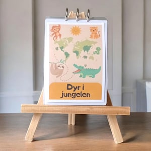 Jungle Animals – Double-Sided Flashcards for Kids | Guess the Animal by Silhouette & Tracks