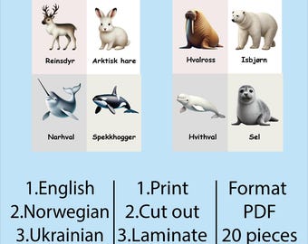Educational Arctic Animal Flashcards for Kids | Interactive Learning Cards