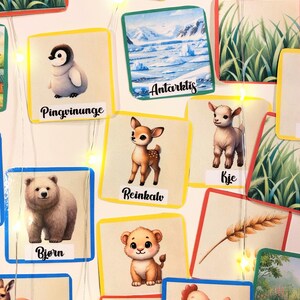 Puede incluir: Un conjunto de tarjetas de memoria coloridas con im&aacute;genes de animales y lugares. Las tarjetas presentan un ping&uuml;ino, un reno, un oso, un le&oacute;n, una gallina, una cabra, un campo de hierba, una granja y la Ant&aacute;rtida.