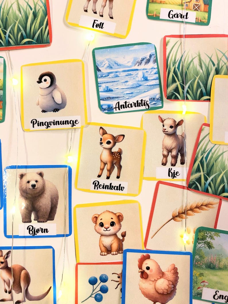 Puede incluir: Un conjunto de tarjetas de memoria coloridas con im&aacute;genes de animales y lugares. Las tarjetas presentan un ping&uuml;ino, un reno, un oso, un le&oacute;n, una gallina, una cabra, un campo de hierba, una granja y la Ant&aacute;rtida.