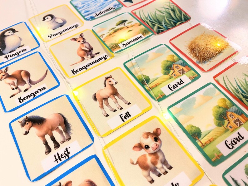 Puede incluir: Un conjunto de tarjetas de memoria coloridas con im&aacute;genes y palabras en noruego. Las tarjetas presentan animales, lugares y objetos, como un ping&uuml;ino, un canguro, un potro, una granja y hierba.