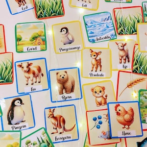 Puede incluir: Un conjunto de tarjetas de memoria coloridas que representan diferentes animales y lugares, incluyendo una granja, un bosque, un ping&uuml;ino, un canguro, un reno, un oso, una vaca, una cabra, una gallina y un pez. Las tarjetas tienen un fondo blanco con bordes e ilustraciones coloridas.