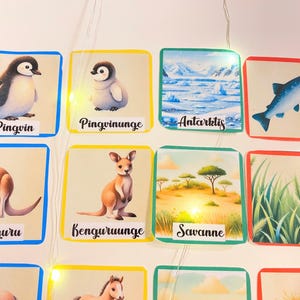 Puede incluir: Un conjunto de tarjetas de memoria coloridas con ilustraciones y palabras en alem&aacute;n. Las tarjetas muestran un ping&uuml;ino, un canguro, un pez, una sabana y un paisaje &aacute;rtico. Las palabras en las tarjetas son "Pinguin", "Pinguinunge", "Antarktis", "Kenguru", "Kenguruunge", "Savanne".
