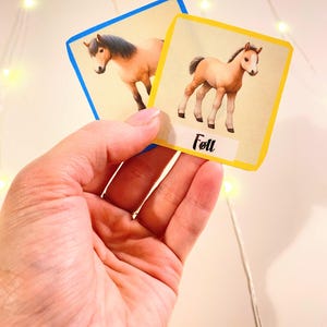 Puede incluir: Dos tarjetas ilustradas con im&aacute;genes de caballos. La tarjeta de la izquierda muestra un caballo marr&oacute;n con una crin y cola negras. La tarjeta de la derecha muestra un potro marr&oacute;n con una raya blanca en la cara. La tarjeta de la derecha tiene la palabra "Potro" escrita en ella.