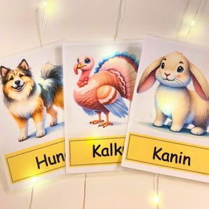 Laminierte A6 Karteikarten in Englisch, Norwegisch, Ukrainisch