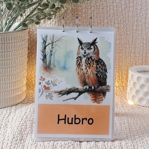 Flashcards sur les oiseaux de Norvège | Fugler i Norge | Apprentissage de la faune | Imprimable Montessori | Téléchargement numérique