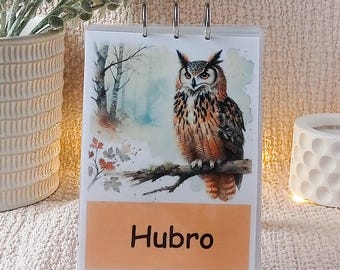 Norwegian Birds Flashcards | Fugler i Norge | Wildlife Learning | Montessori Printable | Digital Download