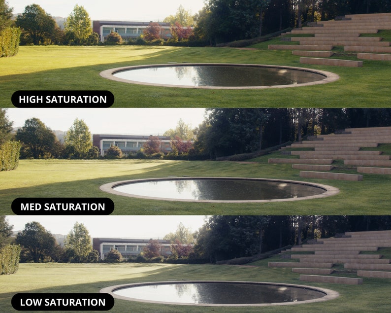 Kodak Film Look Lut Pack, Davinci Resolve, Premiere, Finalcut, Vlog