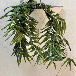 May include: A hanging plant with long, cascading green leaves. The plant is in a white, geometric planter, mounted on a white wall. The leaves are a mix of light and dark green, creating a textured appearance.