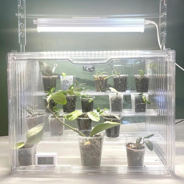 Humidity Propagation Box Large 4 Tier | Self Watering | Hoya | Acrylic | Nursery | Custom | Stackable | Magnetic Doors | Philodendron